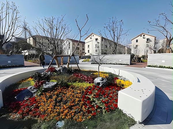 清水藝科石 清水藝科石